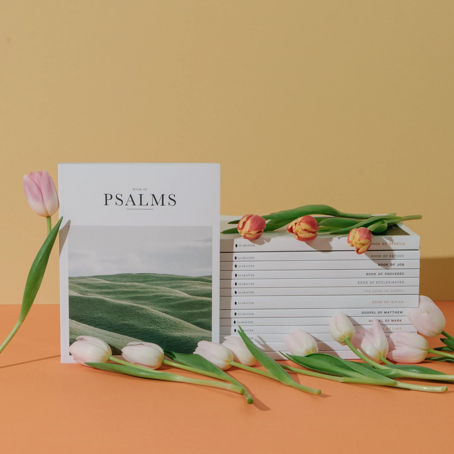 Experience the Bible Beautifully